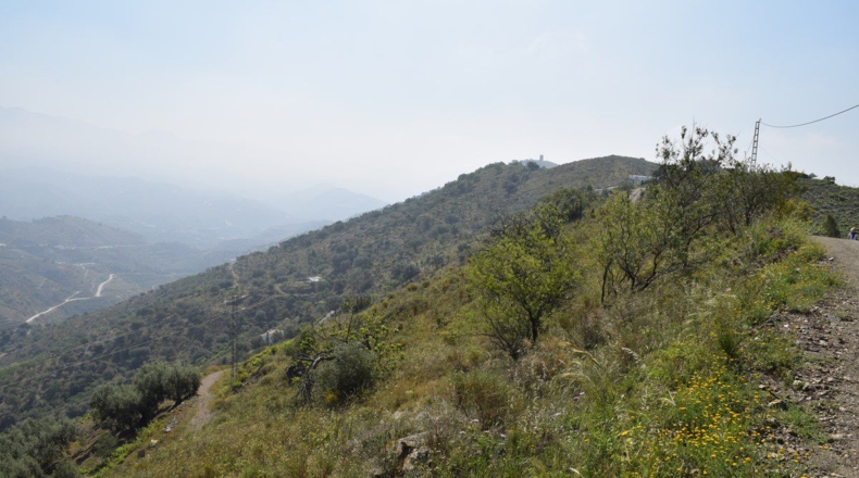 Málaga - Cañada de los Rosales - 4619m2