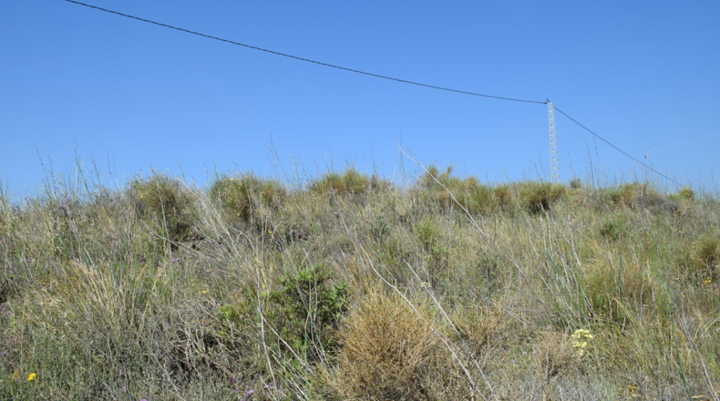 Málaga - Cañada de los Rosales - 4619m2