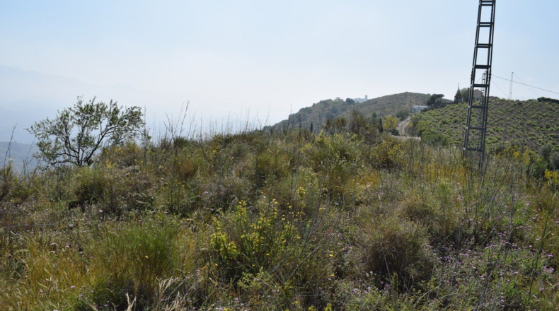 Málaga - Cañada de los Rosales - 4619m2