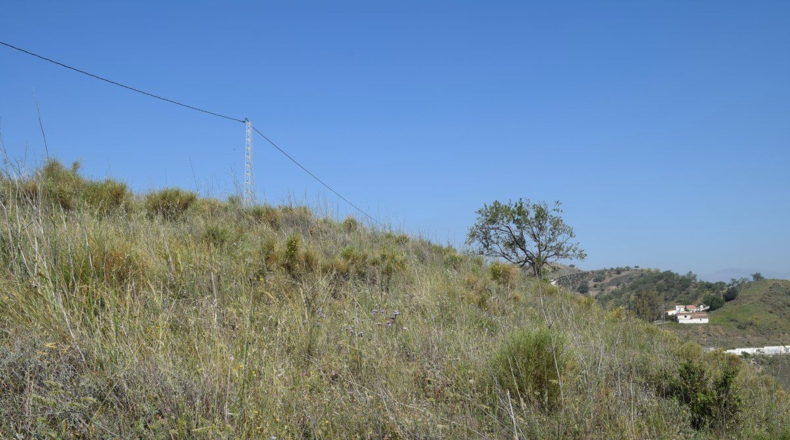 Málaga - Cañada de los Rosales - 4619m2