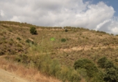 Terreno no urbanizable en venta en Escuela Almacén ref: TR11884 foto