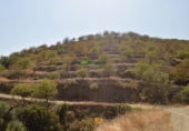 Terreno no urbanizable en venta en Escuela Almacén ref: TR11884 foto