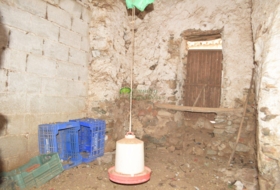 Foto 15