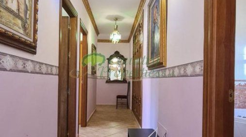 Málaga - Canillas de Aceituno - 6000m2