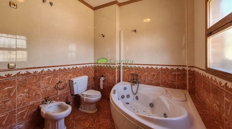 Málaga - Canillas de Aceituno - 6000m2