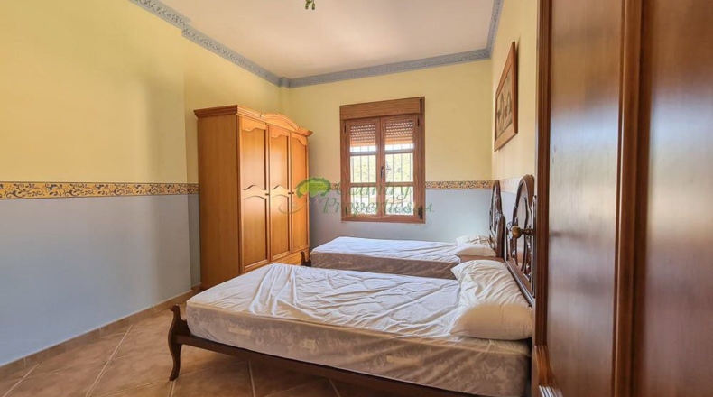 Málaga - Canillas de Aceituno - 6000m2