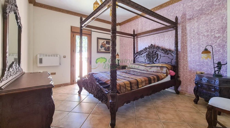 Málaga - Canillas de Aceituno - 6000m2