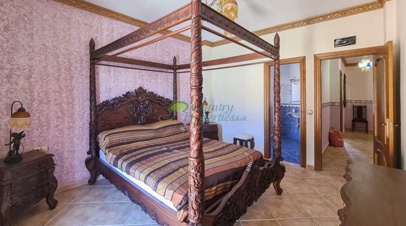 Málaga - Canillas de Aceituno - 6000m2