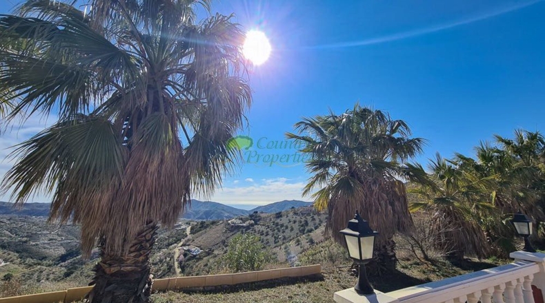 Málaga - Canillas de Aceituno - 6000m2