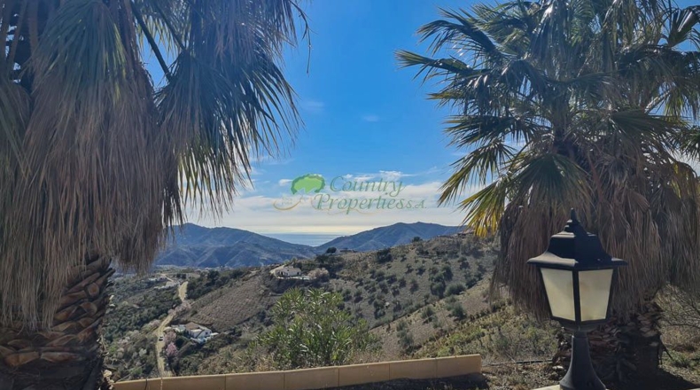 Málaga - Canillas de Aceituno - 6000m2