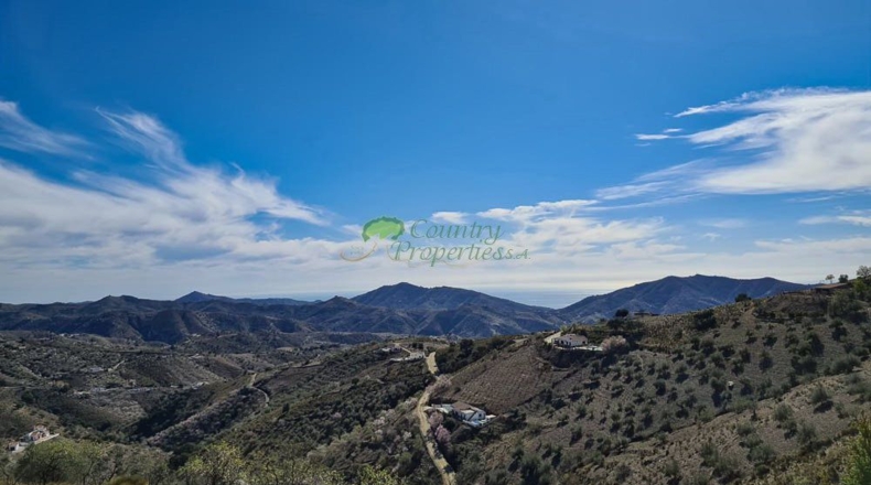 Málaga - Canillas de Aceituno - 6000m2