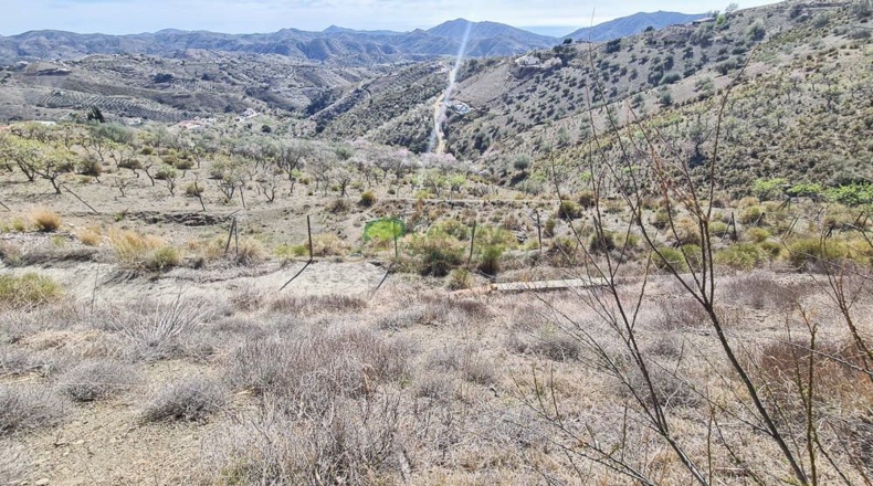 Málaga - Canillas de Aceituno - 6000m2