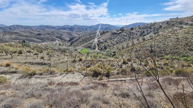 Málaga - Canillas de Aceituno - 6000m2