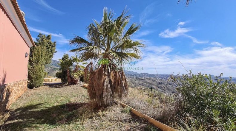 Málaga - Canillas de Aceituno - 6000m2