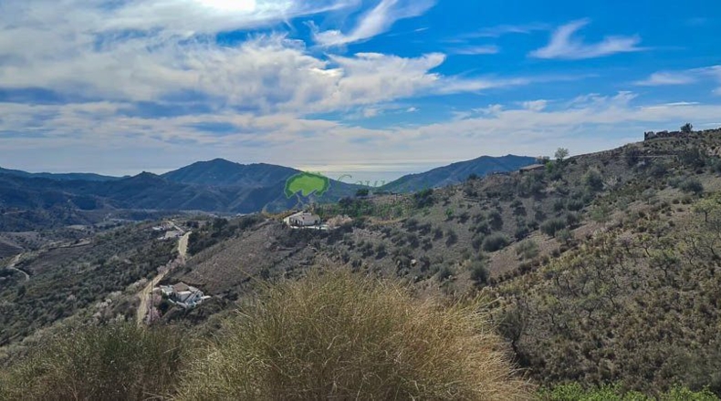 Málaga - Canillas de Aceituno - 6000m2