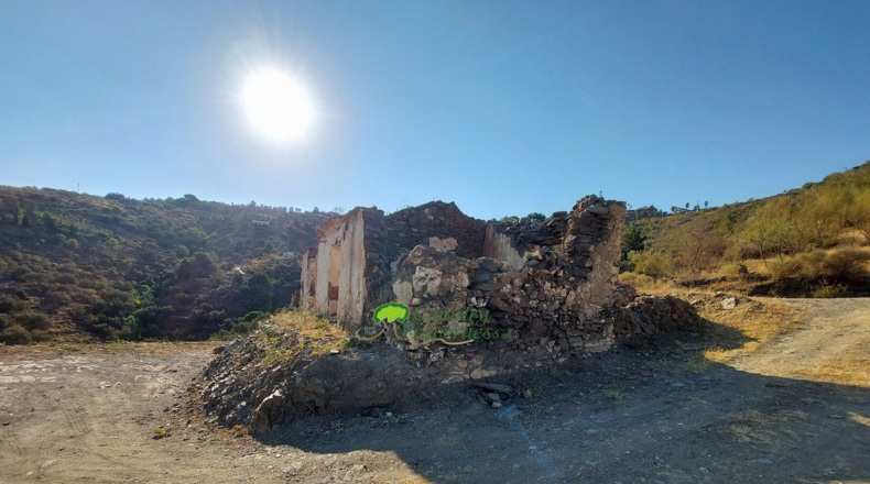 Málaga - Sayalonga - 19000m2