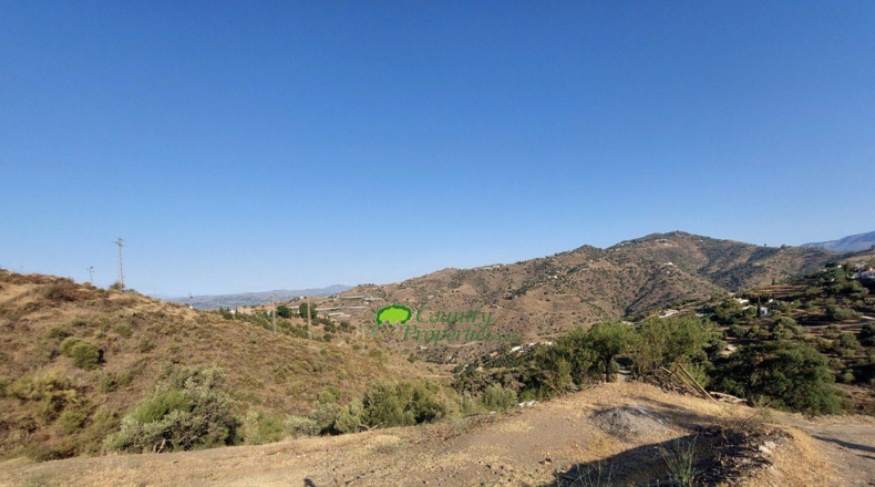 Málaga - Sayalonga - 19000m2