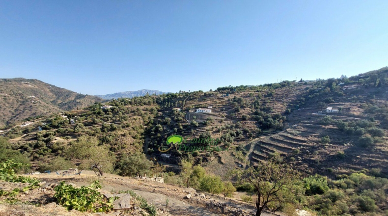 Málaga - Sayalonga - 19000m2