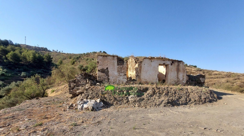 Málaga - Sayalonga - 19000m2