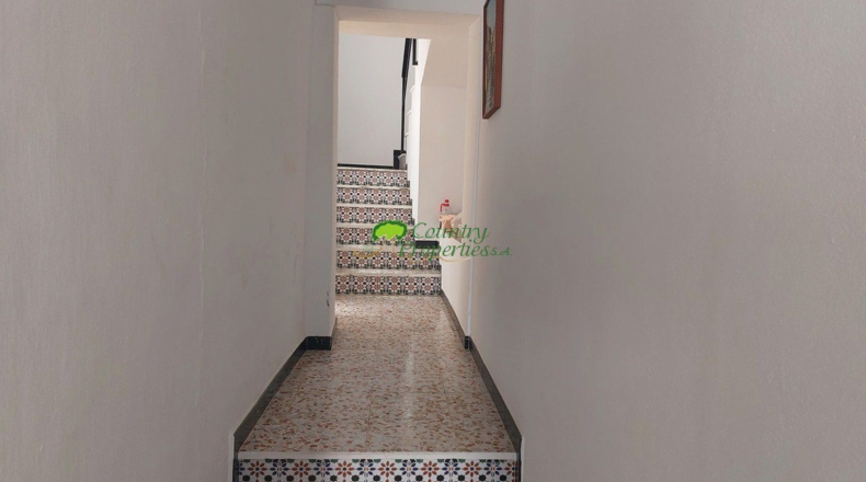 Málaga - Canillas de Albaida - 300m2
