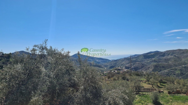 Malaga - Canillas de Albaida - 8800m2