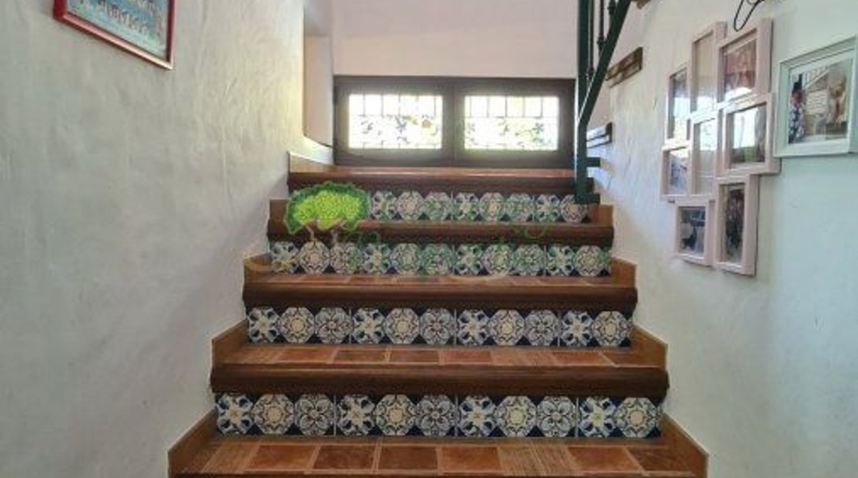 Malaga - Canillas de Albaida - 8800m2
