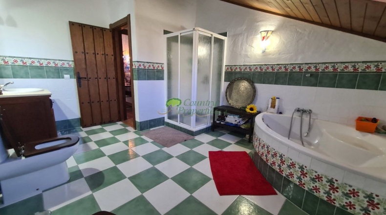 Malaga - Canillas de Albaida - 8800m2