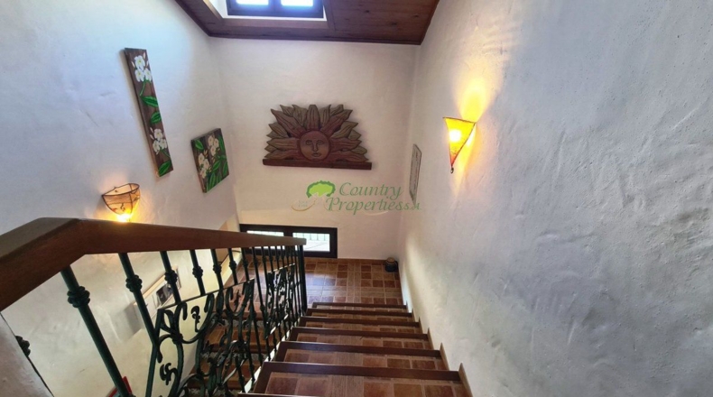 Malaga - Canillas de Albaida - 8800m2