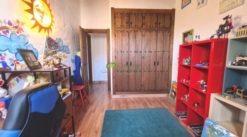 Malaga - Canillas de Albaida - 8800m2