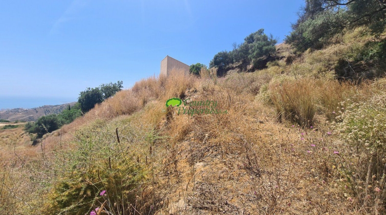 Malaga - Sayalonga - 9245m2