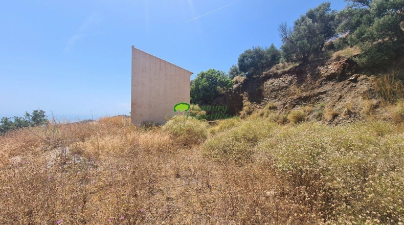 Malaga - Sayalonga - 9245m2