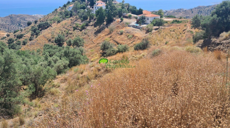 Malaga - Sayalonga - 9245m2
