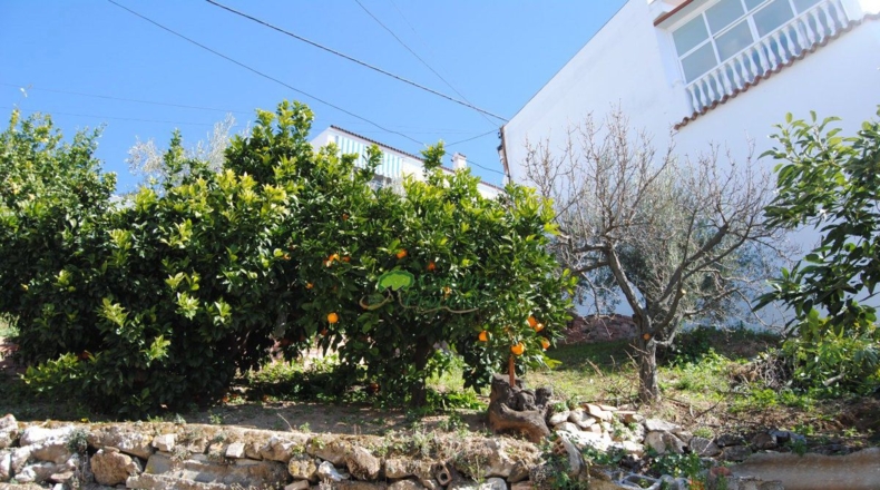 Malaga - Cómpeta - 419m2