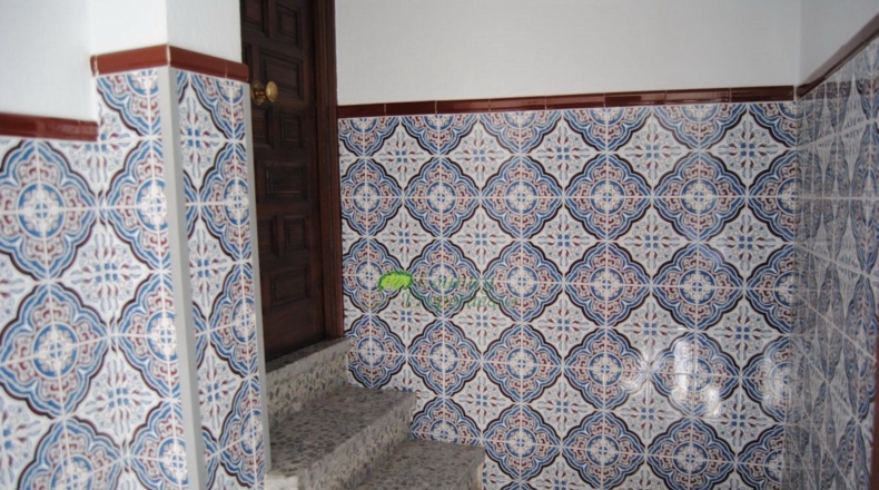 Malaga - Cómpeta - 419m2
