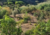 Casa de pueblo en venta en Viñuela ref: TR185938 foto