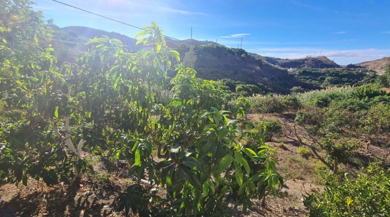 Málaga - Los Gómez - 1257m2