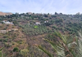 Country house with land for sale in Cómpeta ref: TR251745 photo