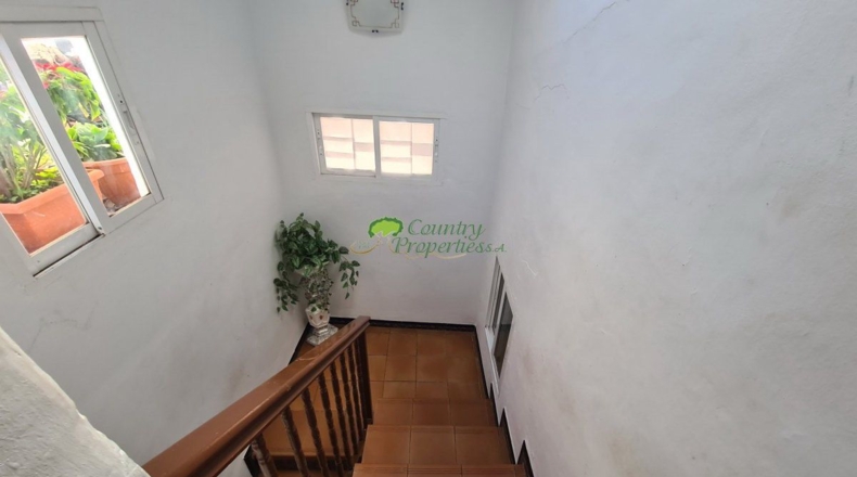 Málaga - Sayalonga - 130m2
