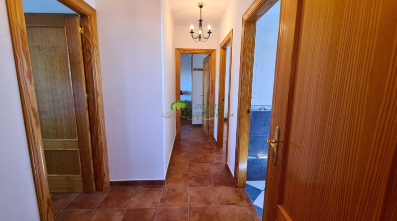 Málaga - Компета - 8292m2