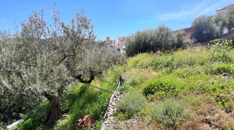 Málaga - Corumbela - 750m2