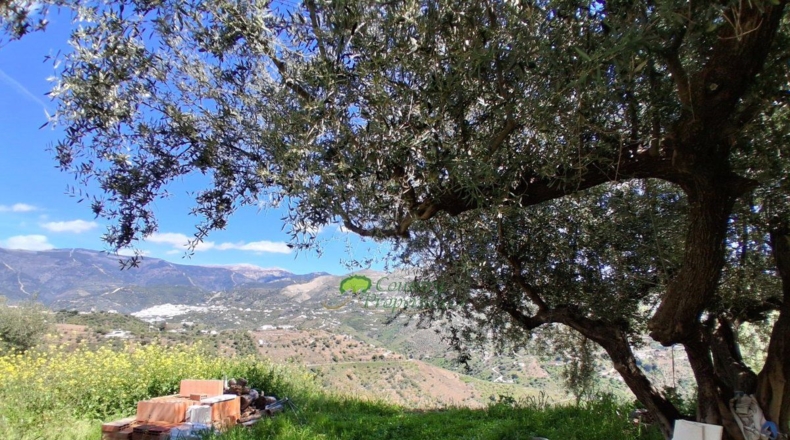 Málaga - Corumbela - 750m2