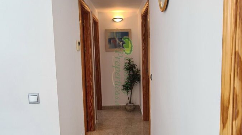 Málaga - Cómpeta - 284m2
