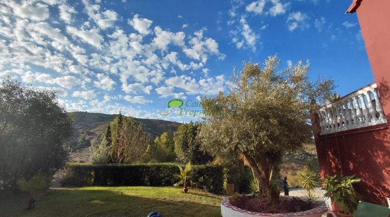 Málaga - Canillas de Albaida - 4330m2