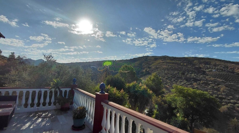 Málaga - Canillas de Albaida - 4330m2