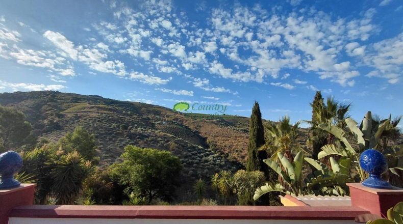 Málaga - Canillas de Albaida - 4330m2