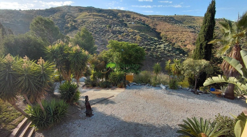 Málaga - Canillas de Albaida - 4330m2