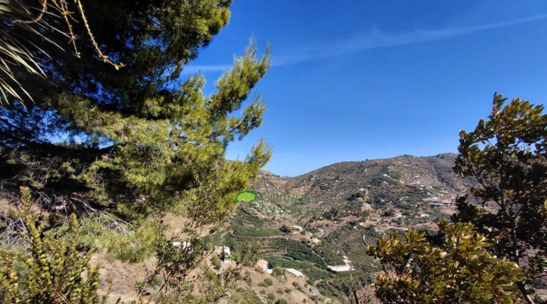 Malaga - Cómpeta - 11936m2