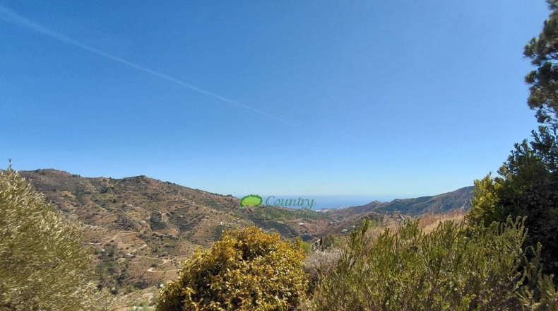 Malaga - Cómpeta - 11936m2