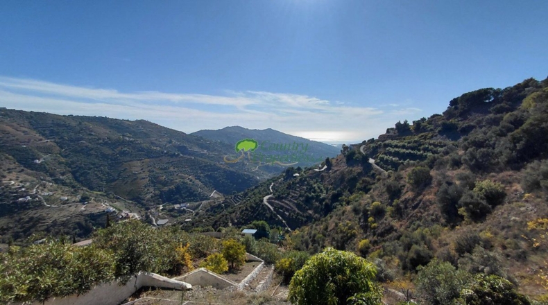 Málaga - Cómpeta - 1418m2