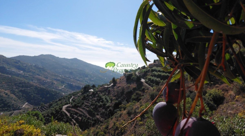 Málaga - Cómpeta - 1418m2